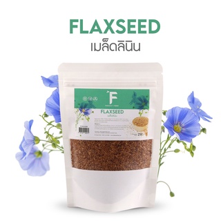 Forest Food : Flexseed เมล็ดลินิน ธัญพืช วัตถุดิบ ใยอาหารสูง อุดมไปด้วยแร่ธาตุและกรดไขมันโอเมก้า 3 6 9 ขนาด 250G