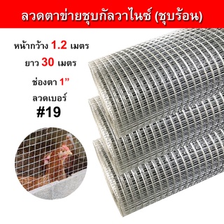 ลวดตาข่ายสี่เหลี่ยมชุบกัลวาไนซ์(ชุบร้อน) ไม่เป็นสนิม ตา1นิ้ว ลวดหนา1มิล 0.9/1.2m. ยาว 30m. ลวดตาข่ายกรงไก่