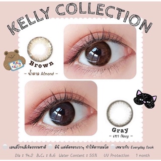 คอนแทคเลนส์รายเดือน รุ่น Kelly Collection