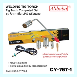 ชุดหัวเผาแก๊ส LPG ขนาด 1" พร้อมสาย ยาว3เมตร ชุดหัวเผาขาหมู ชุดหัวเผา-PVC รุ่น CY-767-1 Alibaba