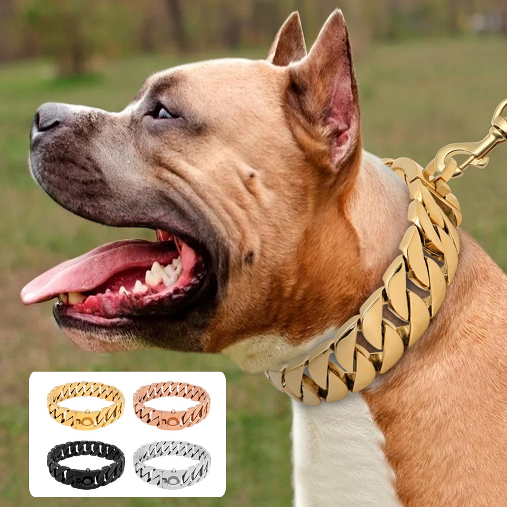 chain collars for large dogs