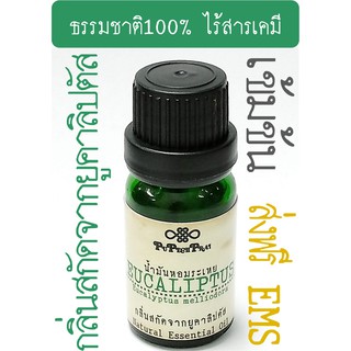 กลิ่นสกัดเข้มข้นจากยูคาลิปตัส 10 มล PuPechPrai EUCALIPTUS Essential Oil 10 ml