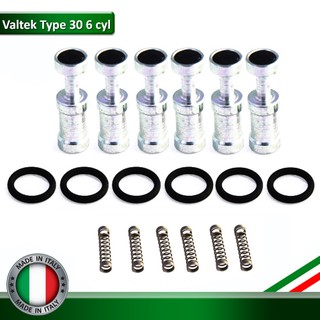 Repair Set Valtek Injector Type 30 (6 pcs) - ชุดซ่อมรางหัวฉีดยี่ห้อ Valtek Type 30 (รางหัวฉีดแท้จาก Italy) (6 ชิ้น)