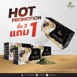 ** โปร 3 แถม 1 ** Teblad Organic Yerba Mate 3g x 12 Teabags