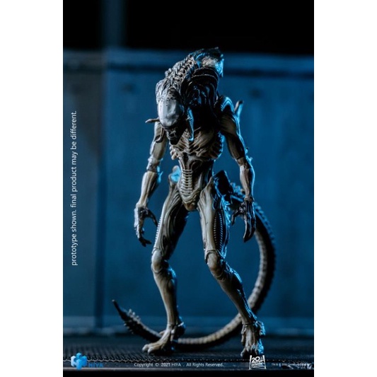 Hiya Toys AVP2 : Predalien