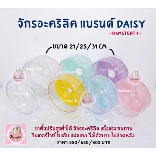 [Hamsterthailand] พร้อมส่ง‼️ จักรอะคริลิคใส นำเข้า ทนทาน เงียบลื่น สำหรับสัตว์เลี้ยง แฮมสเตอร์ เม่นแคระ