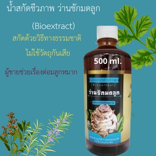 น้ำสกัดชีวภาพ ว่านชักมดลูก (Bioextract) สกัดด้วยวิธีทางธรรมชาติ ไม่ใช้วัตถุกันเสีย 500ml ผู้ชายดื่มช่วยต่อมลูกหมากโต