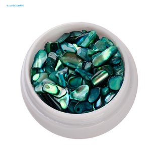 Farfi  Accessories Nail Ornaments Abalone Pieces Nail Art Decor Accessories Tools Natural Abalone Shell Nail Supplies