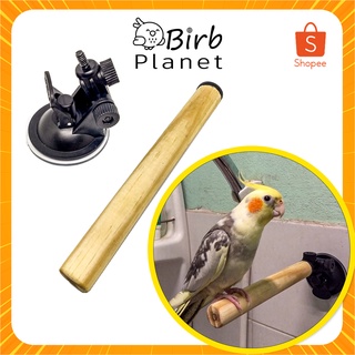 คอนนกสำหรับติดกระจกในบ้านหรือรถยนต์ Suction cup perch for small &amp; medium birds BIRB PLANET