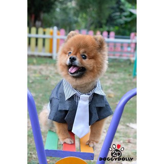 Pet cloths - Doggydolly ชุดสูท ชุดเจ้าบ่าวเสื้อผ้าแฟชั่น เสื้อผ้าสัตว์เลี้ยง เสื้อผ้าสุนัข เสื้อหมาทักซิโด้ หมาแมว F047