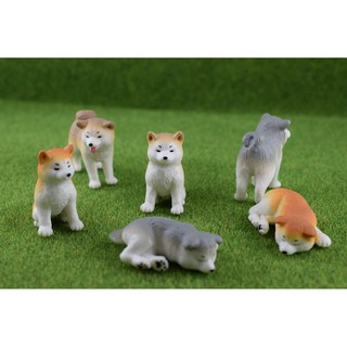 Gashapon กาขาปอง Epoch Akita Inu ครบเซ็ท 6 ตัว