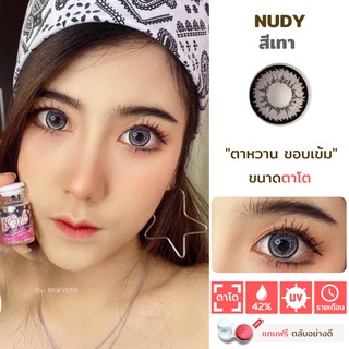 ไม่แถมตลับ Nudy Gray (ตาโต) คอนแทคเลนส์ Wink