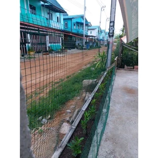 ลวดตาข่ายชุบพีวีซี 1นิ้ว เบอร์18 (ยาว30m) หน้า90ซม 120ซม ตะแกรงเหล็ก กรงไก่ ตาข่ายกันนก ตาข่ายเหล็ก PVC Wiremesh