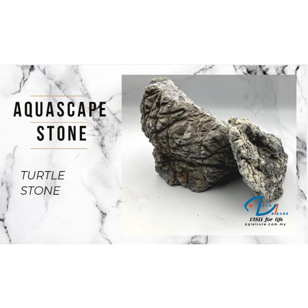 การตกแต่ง Turtle Proluta Stone S/M สําหรับ Aquascape