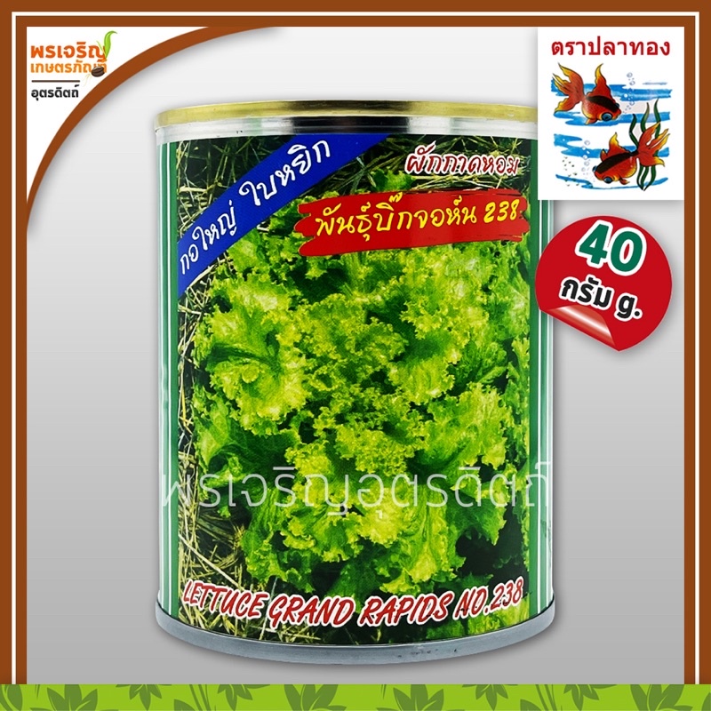 เมล็ดพันธุ์ ผักกาดหอม บิ๊กจอห์น 238 (40 กรัม) เมล็ดผักกาดหอม เมล็ดผักสลัด เมล็ดพันธุ์ผักสวนครัว ตราปลาทอง