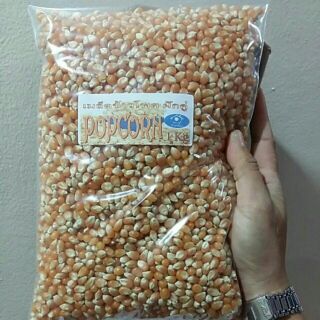 (ถุงซิป 1 กก.) เมล็ดข้าวโพด ฝักคู่ : POPCORN