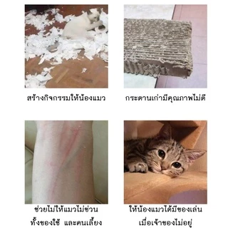 AL-190 ที่ลับเล็บแมว โซฟาลับเล็บ กระดาษลูกฟูก แบบ2ด้าน ที่ฝนเล็บแมว ของเล่นแมว แถมฟรี!! แคทนิป 1ซอง