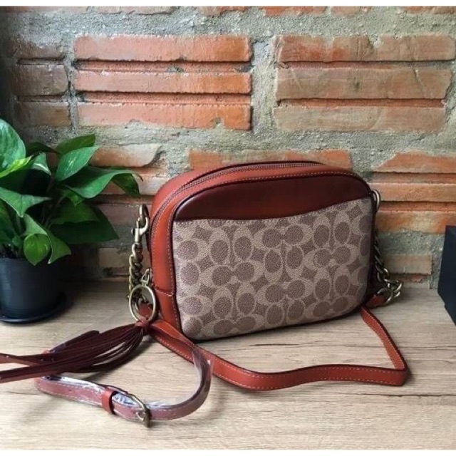 Coach Camera Bag In Signature Canvas F31208