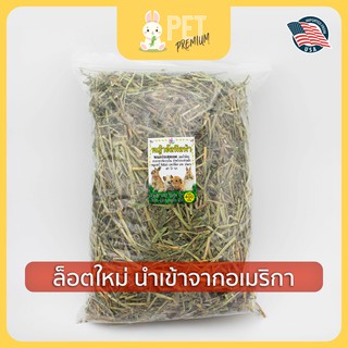 อัลฟาฟ่า 400 กรัม Alfalfa hay by pet premium