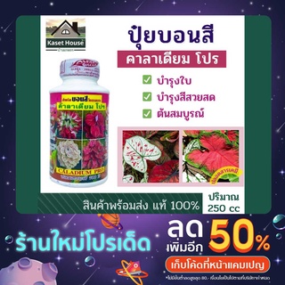 คาลาเดียม โปร ปุ๋ยบอนสี ปริมาณ 250 ซีซี