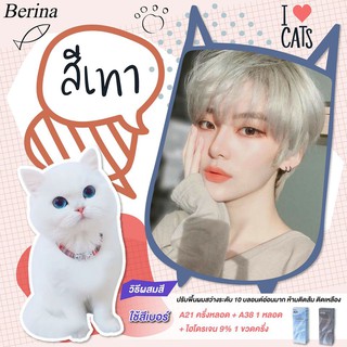 Set Berina เบอริน่า เซตสีผม สี โทน เทา ( A21 / A38 )