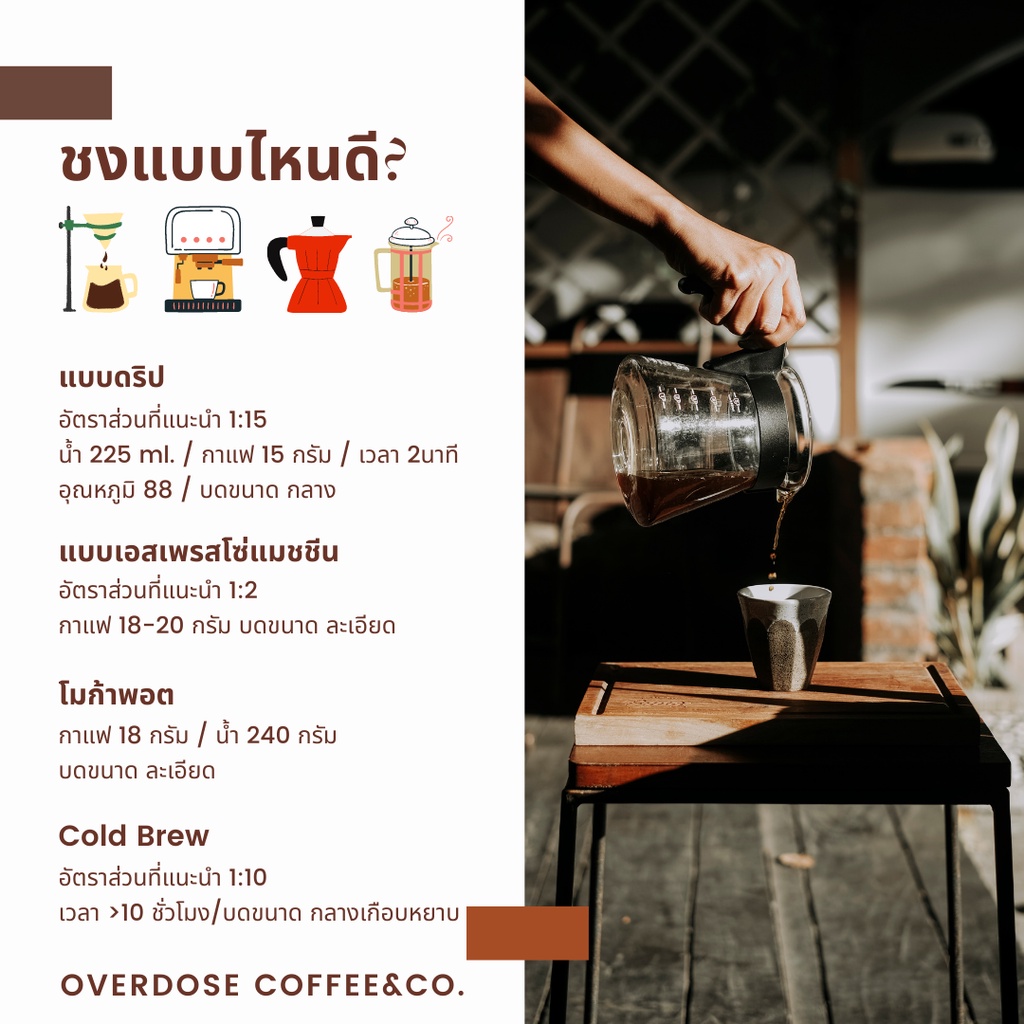 Overdose CoffeeCo. เคนย่า KENYA เมล็ดกาแฟคั่วอ่อน คุณภาพ - overdose ...