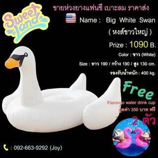 เบาะยาง หงส์ขาว🦢ราคาถูกสุดๆ