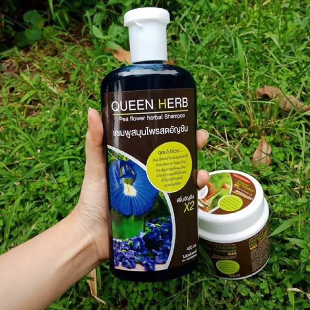 QUEEN HERBแชมพูสมุนไพรอัญชัญสด