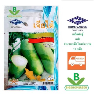 5 ฟรี 1 คละได้ เมล็ดพันธุ์ แฟง (Wax gourd) เจียไต๋ เมล็ดผัก เมล็ดพันธุ์พืช  เมล็ดพืช  เมล็ดพันธุ์ผัก เมล็ดผักสวนครัว