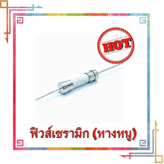 ฟิวส์เซรามิค สโลโบฟิวส์ 8A 250VAC