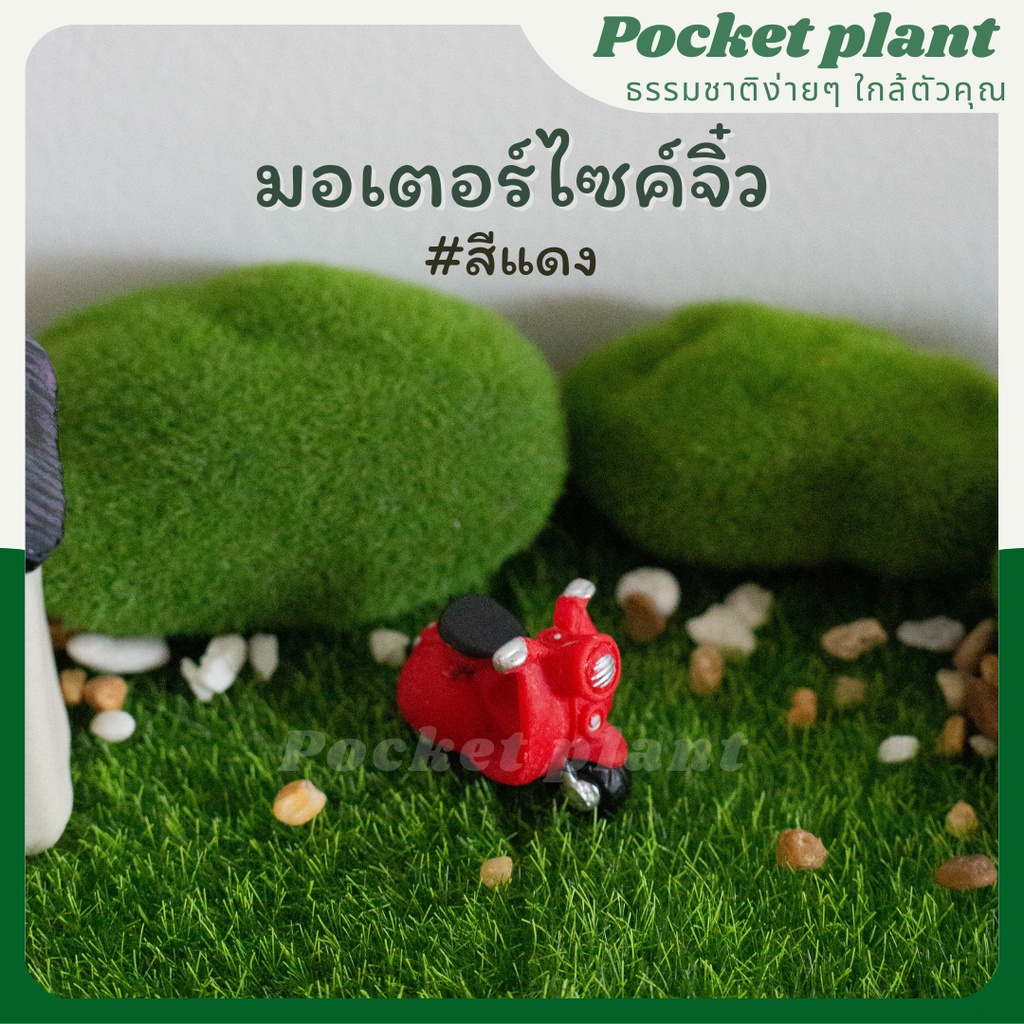 มุมมอง 6