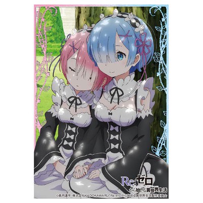 Bushiroad Sleeve Collection High Grade Vol.1143 Re:ZERO -Starting Life in Another World- "Rem &amp; Ram" part.2 Pack - สลีฟ