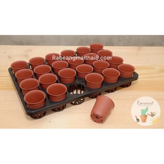 Set  ถาดหลุมกลม 2.5 นิ้ว , 24 หลุม  +  กระถางปากแตร 2.25 นิ้ว
