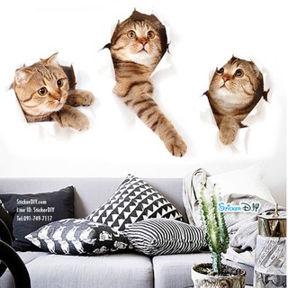 Wall Sticker สติ๊กเกอร์ติดผนัง 3D Three Kittys(กว้าง73cm.xสูง40cm)