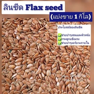 ลินซีด Linseed(แบ่งขาย 200-500 G.) อาหารนกแก้ว และแฮมเตอร์