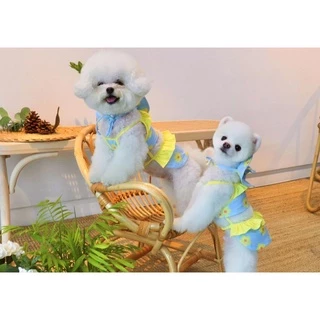 [🚚 พร้อมส่ง] ชุดว่ายน้ำสัตว์เลี้ยง Cute Little Swimsuit ชุดแมว หมา เสื้อแมว