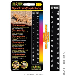 Exo Terra - Liquid Crystal Thermometer ที่วัดอุณหภูมิ