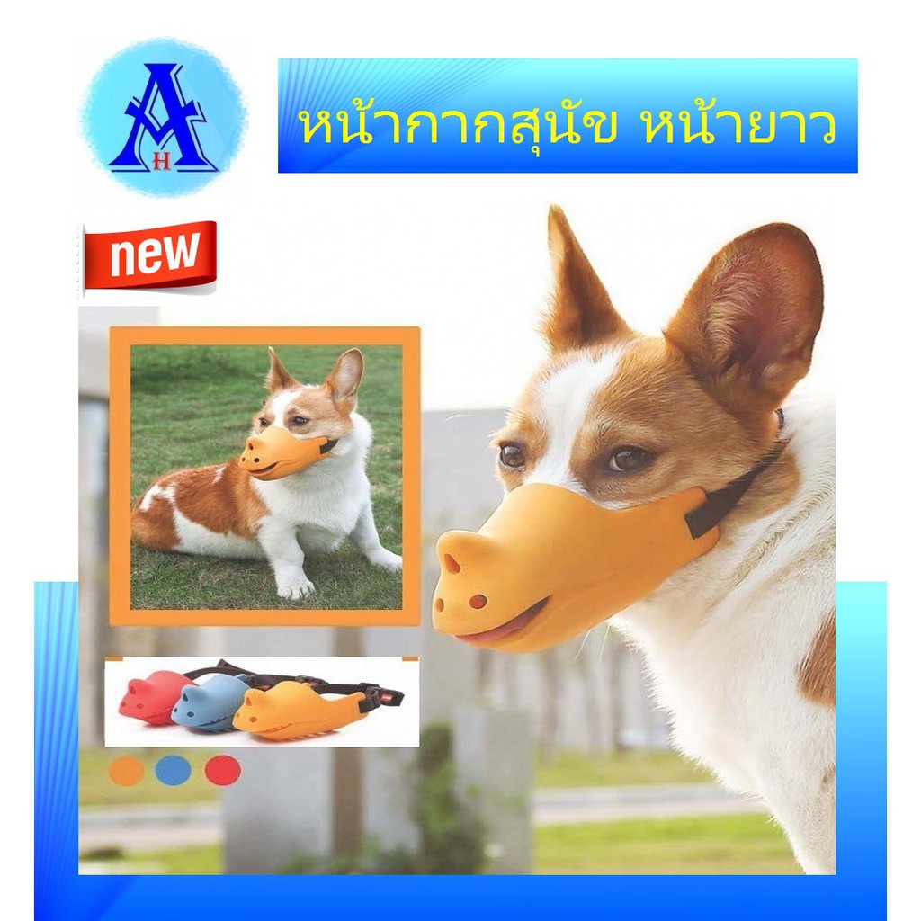 ตะกร้อครอบปากสุนัข หน้ากากสุนัขหน้ายาว บางเบาทำความสะอาดง่าย แข็งแรง ทนทาน น้องหมาไม่เจ็บ #หน้ากากสุนัข #Aging Health