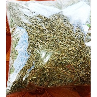 ขายส่ง เมล็ดหญ้ามาเลเซีย Tropical Carpet grass Savanna Grass หญ้าเห็บ หญ้าไผ่ หญ้าปูสนาม สนามหญ้า พืชตระกูลหญ้า 1 ออนซ์