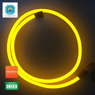 Neon light led  220V