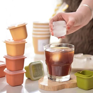 SUPO DEPOT - กล่องแม่พิมพ์ทําน้ําแข็ง พร้อมฝาปิด สุ่มสี 1 ชิ้น