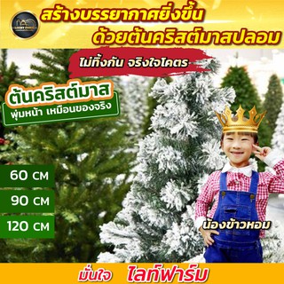 แถมฟรี!! ไฟหยดน้ำ 20 หัว แสงสีรวม ไฟตกแต่ง ต้นคริสต์มาส ขนาด 60 cm. ไฟประดับ สีสันสวยงาม