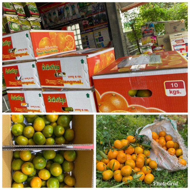 ส้มสวย 9 กก ส้มสายน้ำผึ้ง อ.ฝาง เชียงใหม่ รสชาติดี เก็บสดทุกวัน