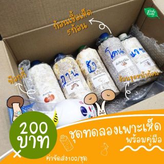 ชุดทดลองปลูก เห็ด คละชนิด จำนวน5ก้อน ORGANIC 100% by Fresh&amp;Friendly Farm