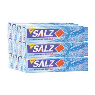 🔥The Best!! ซอลส์ ยาสีฟัน สูตรเฟรช แจเปนนิส มิ้นท์ ขนาด 40 กรัม แพ็ค 12 กล่อง Salz Toothpaste Fresh 40 g x 12