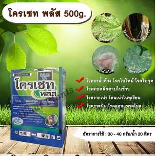 โครเซท พลัส 500g. ไซมอกซานิล+แมนโคเซบ สารกำจัดเชื้อรา โรคราน้ำค้างแตงกวา แคนตาลูป โรคใบไหม้ โรคใบจุด โรครากเน่าโคนเน่า