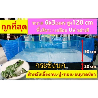 กระชังบก ขนาด 6 x 3 เมตร ยกขอบสูง 120 cm