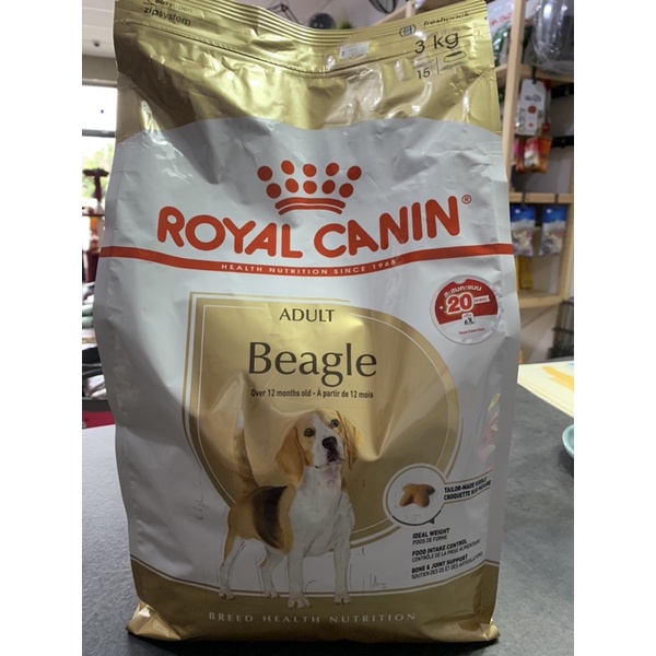RoyalCaninอาหารสุนัขโตBeagle