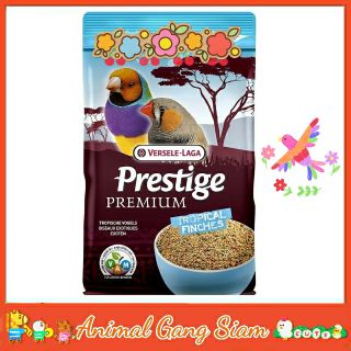 Prestige Premium Tropical Finches อาหารนกหงส์หยก ธัญพืชผสม สูตรพรีเมี่ยม, Versele-laga (800g)