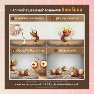 📌100 เดียวตายยกรัง📌 เจลกำจัดแมลงสาบ ปีเตอร์แมน peter man กับดักแมลงสาบ กำจัดแมลงสาบ เจลแมลงสาบ ยาฆ่าแมลงสาบ